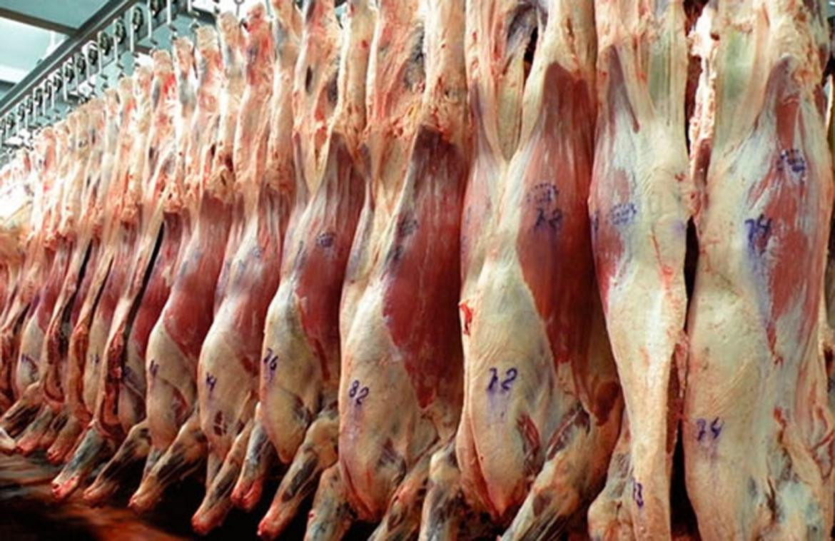 Resultado de imagen para carne exportacion