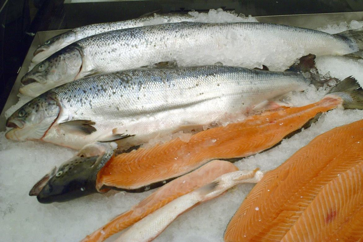 Comidas, pescado, salmón