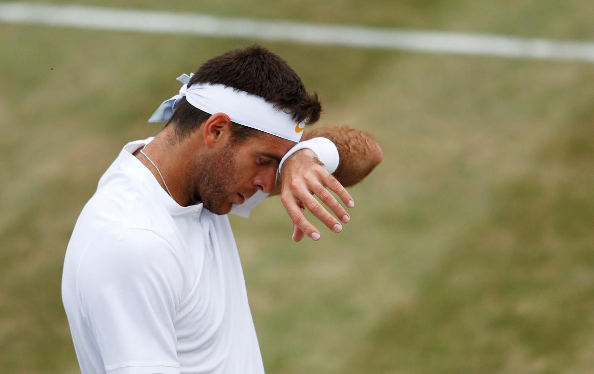 Del Potro - Wimbledon (Reuters)