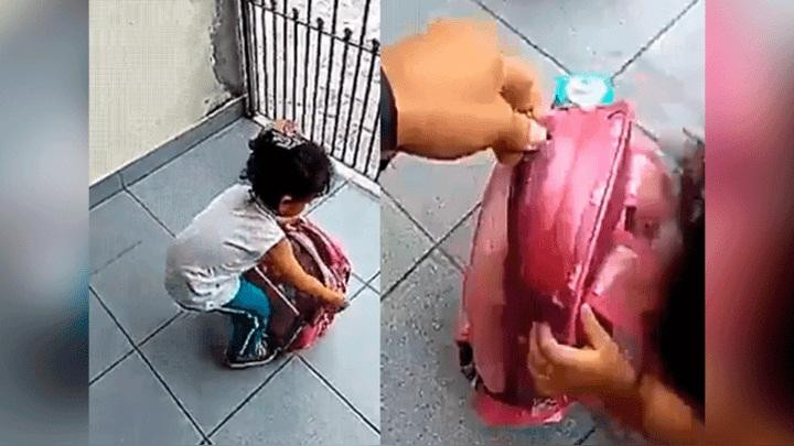 Nena se lleva a su perro al colegio, viral en redes