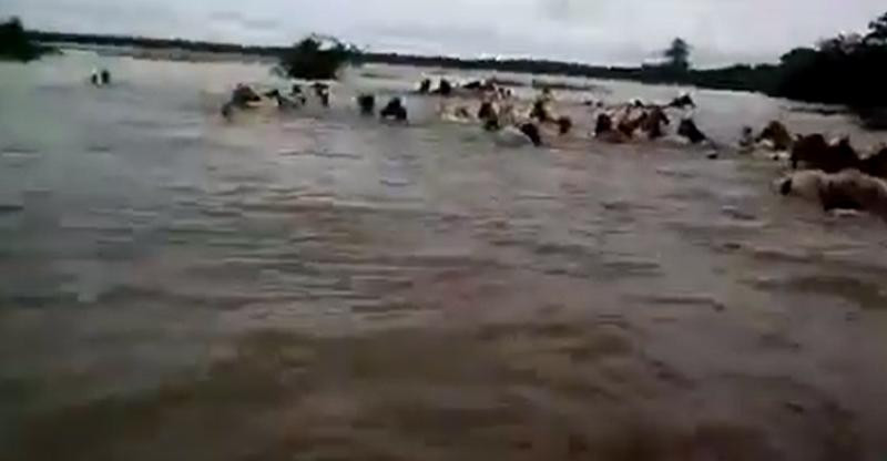 Inundaciones en el Litoral - Corrientes