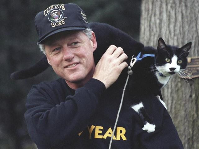 Bill Clinton y Socks, gato que originó el Dia internacional del gato
