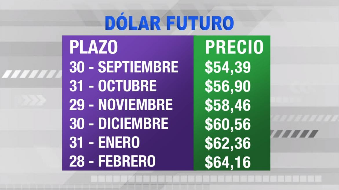 Dólar futuro, cotizaciones septiembre 2019 febrero 2020, economía argentina, CANAL 26