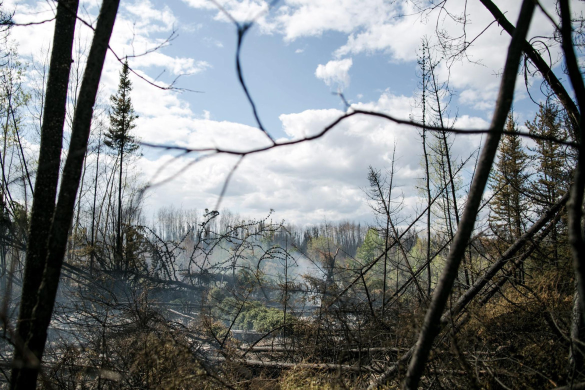En lo que va de año, Canadá ya sufrió más de 4.200 incendios forestales. Foto: EFE.
