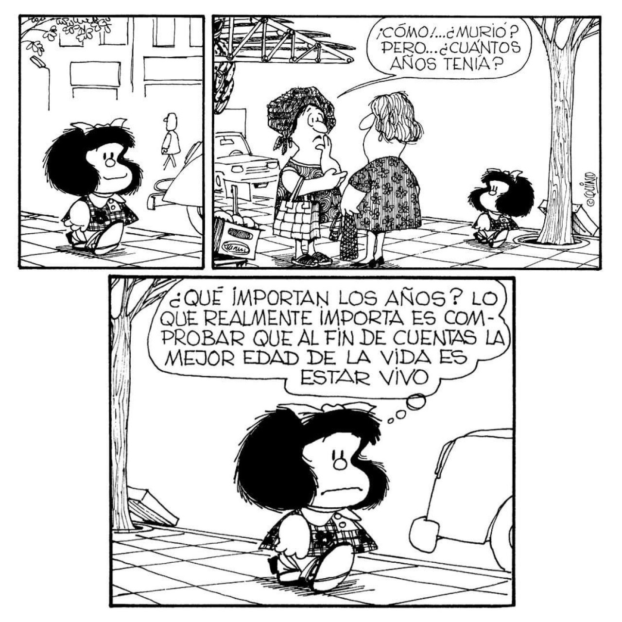 Mafalda. Foto: Instagram/@mafaldadigital