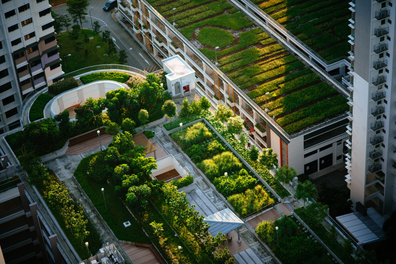 Ciudades inteligentes, sostenibles y verdes. Foto: Unsplash.
