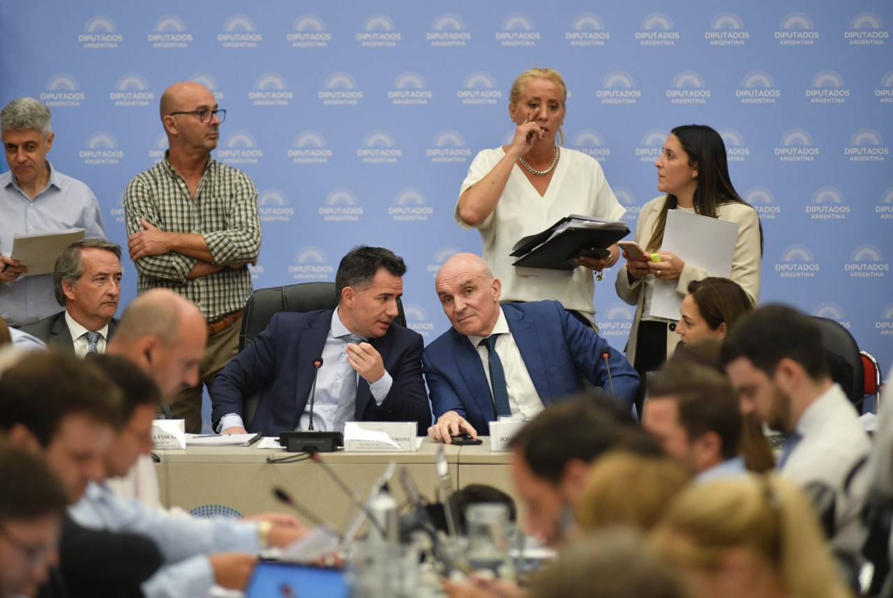 El oficialismo logró el dictamen de mayoría y se debatirá la Ley Ómnibus en la Cámara de Diputados. Foto: NA.