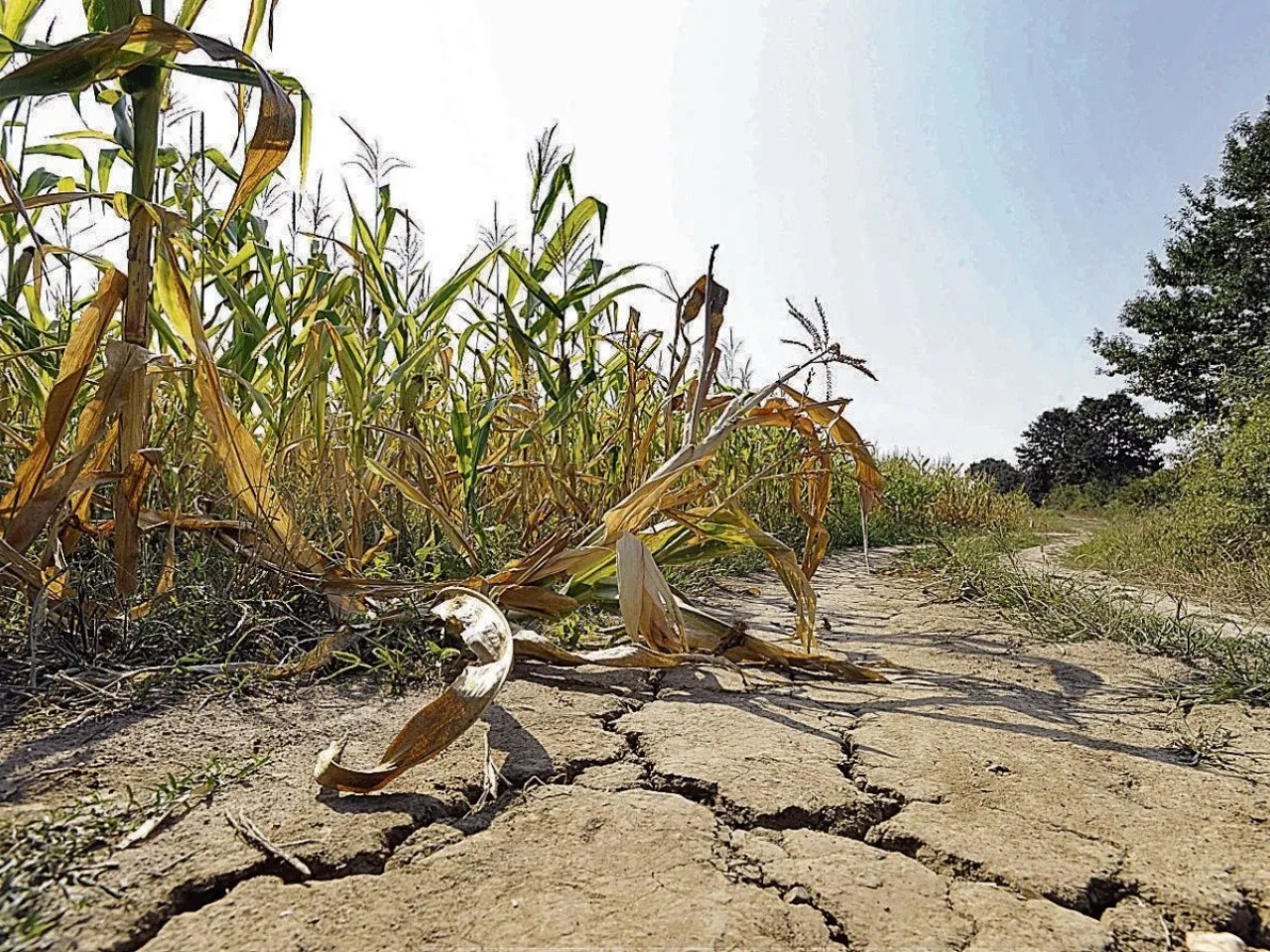 Fenómeno El Niño. Foto: EFE