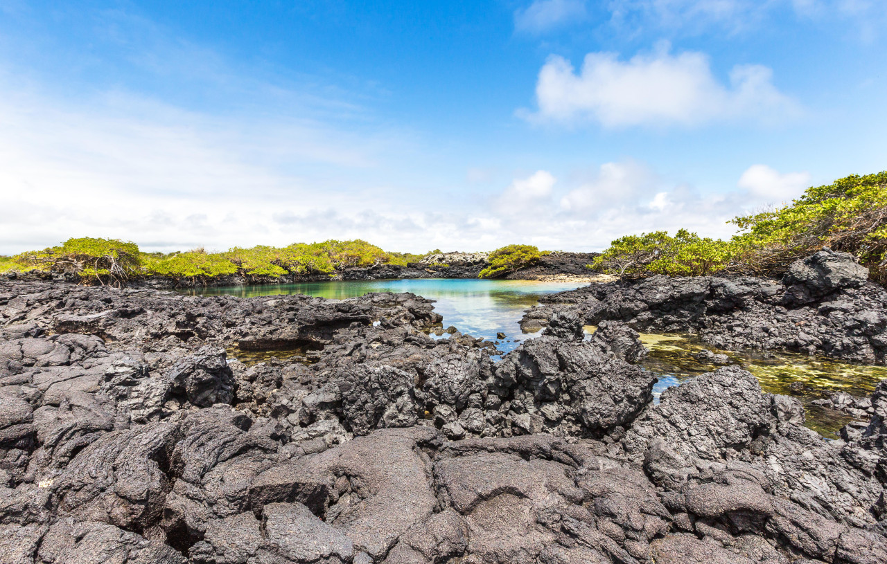 Islas Galápagos. Foto: Reuters, Alamy