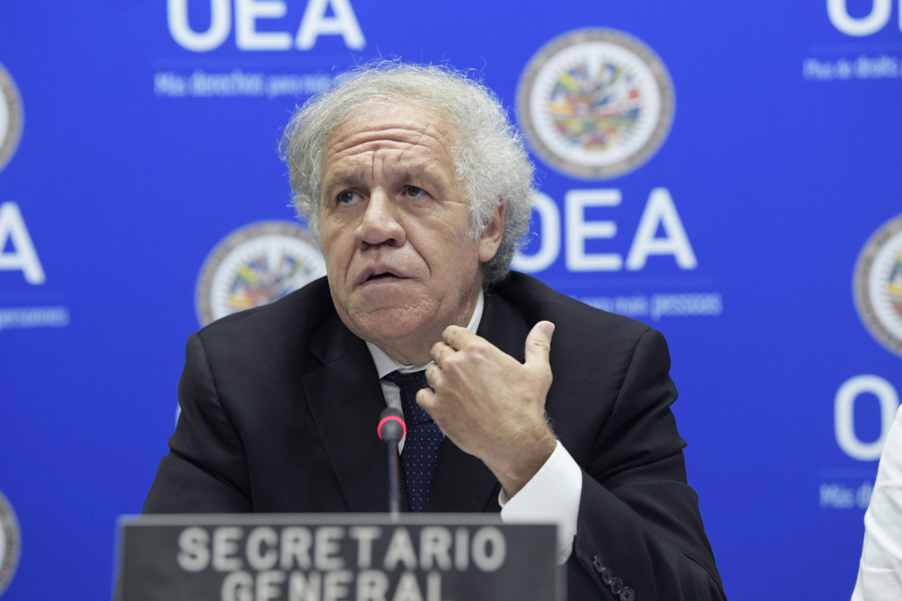 Luis Almagro, secretario general de la OEA. Foto: EFE.