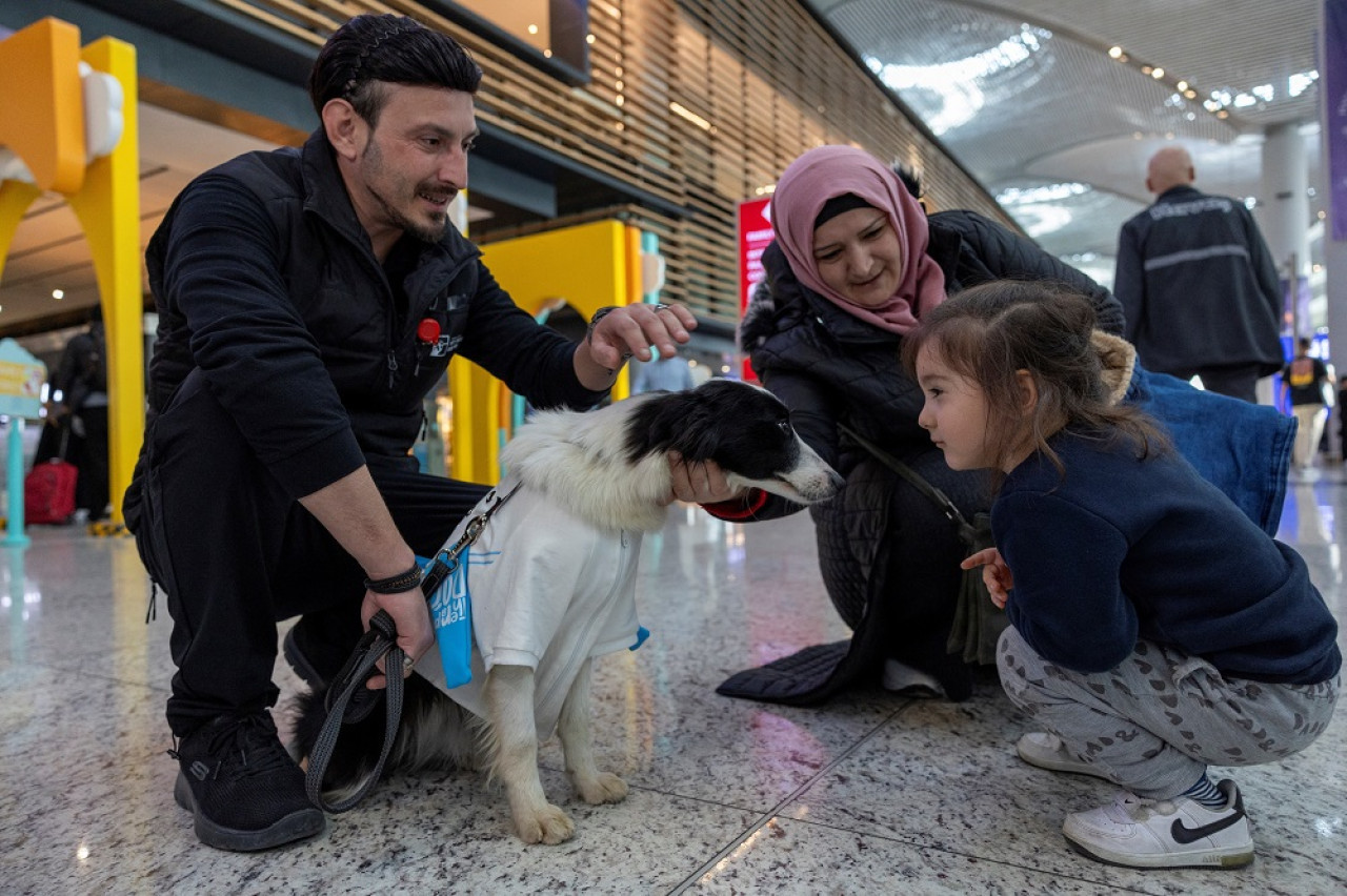 El Aeropuerto de Estambul incorporó a un equipo de perros de terapia. Foto: Reuters.