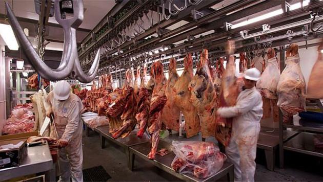 Frigorífico - Exportación de carne