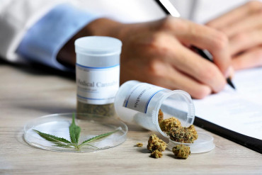 Argentina aprueba productos a base de cannabis para uso y aplicación médica