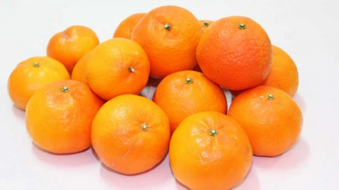 Naranjas y mandarinas