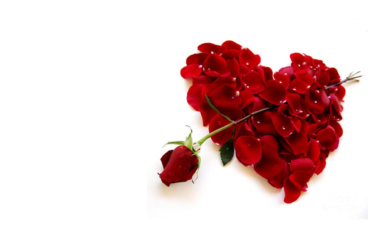 Día de los Enamorados - San Valentín