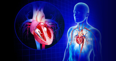 Los accidentes cardiovasculares son la principal causa de muerte prematura en el mundo: ¿Cómo prevenirlos?