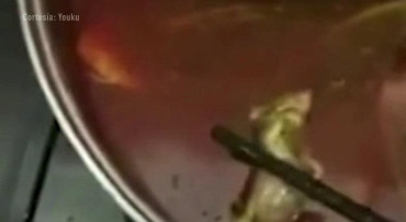 Video: embarazada encontró una rata en su sopa en la comida que pidió en restaurante