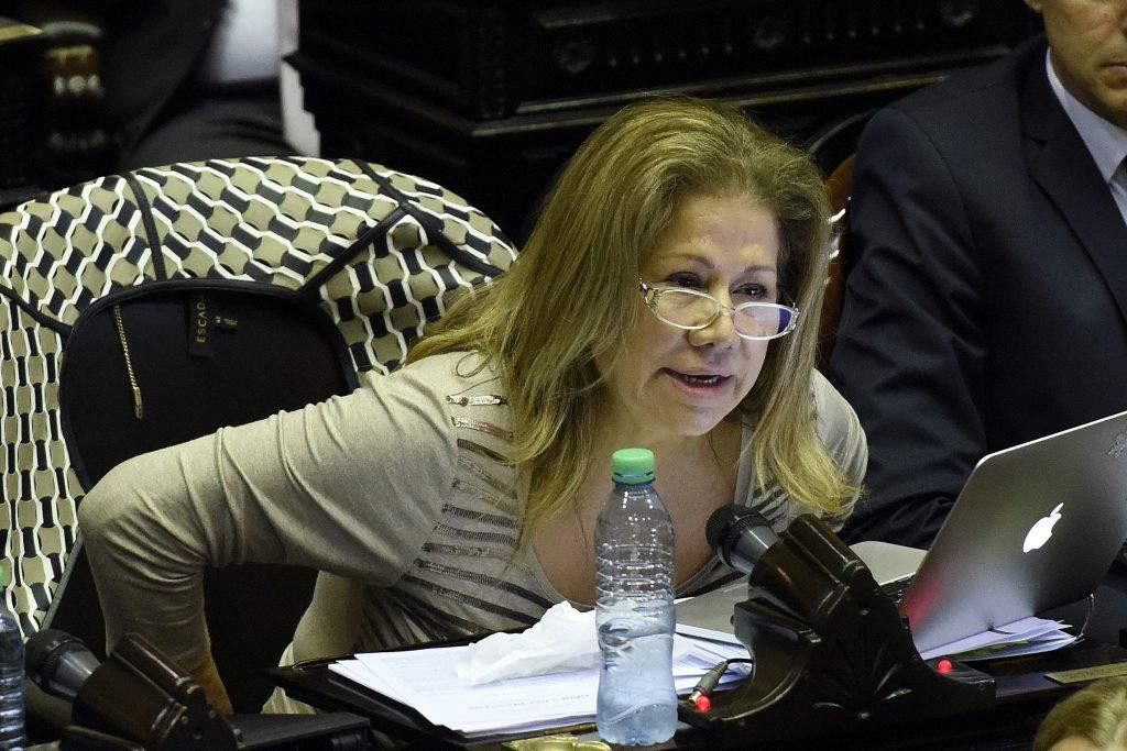 Graciela Camaño, Frente Renovador, Diputados, Política