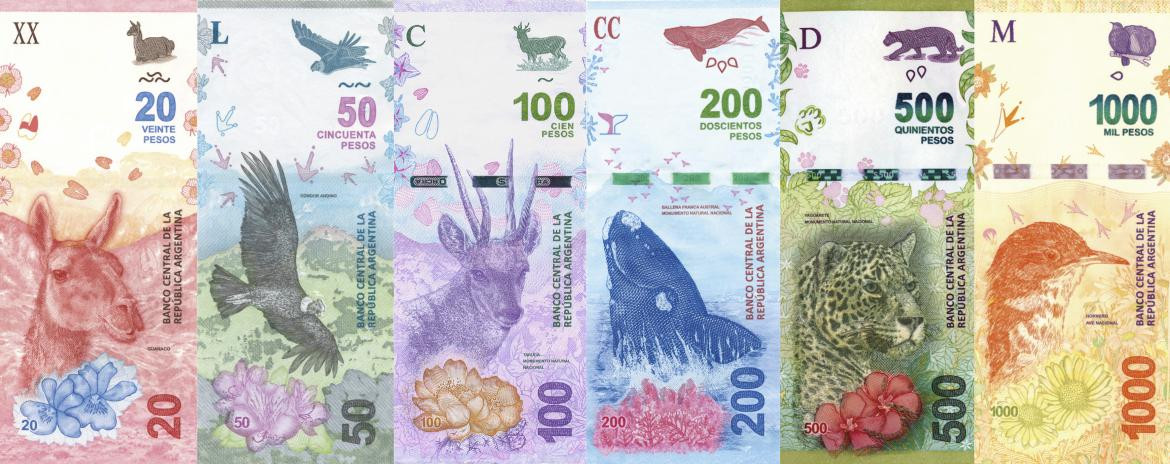 Billetes argentinos con animales (NA)