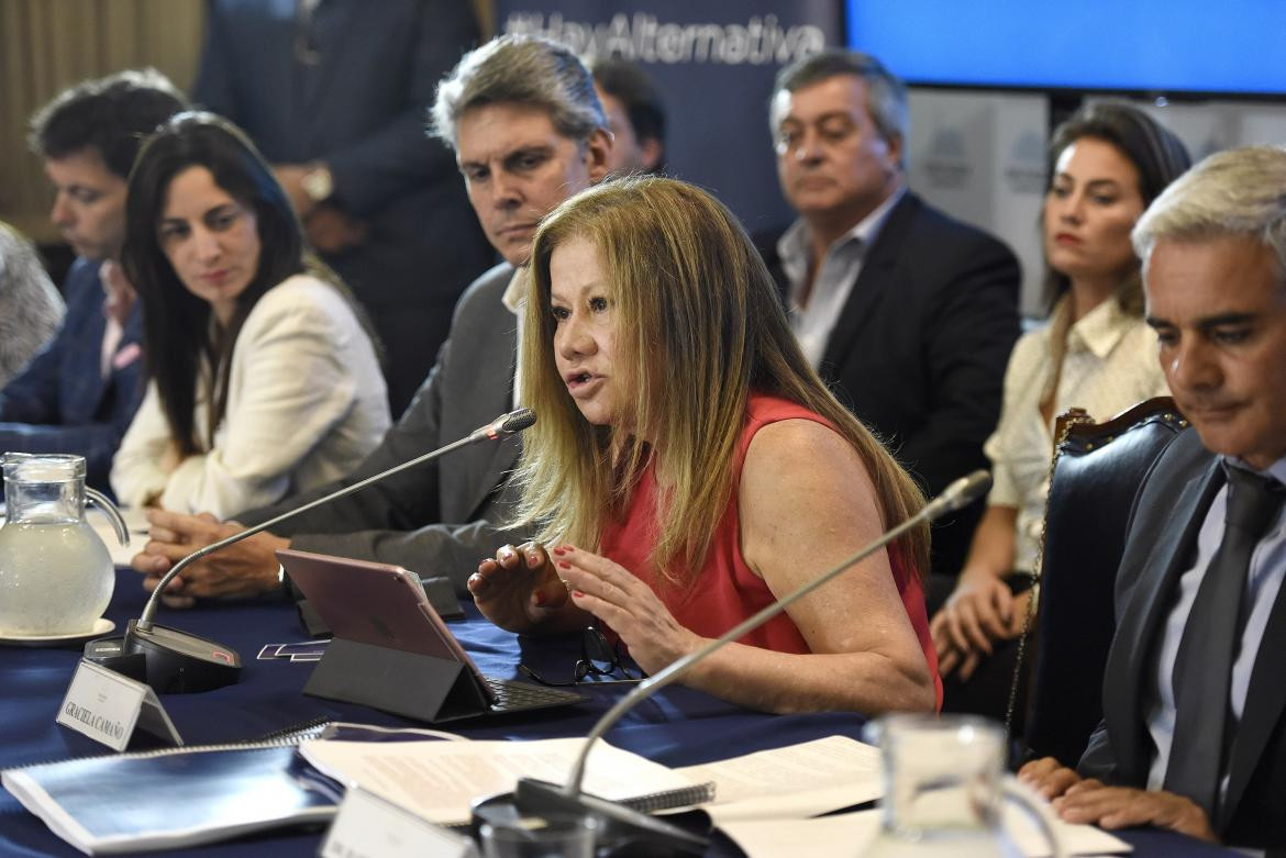 Massismo pide tratar la reforma del Código Penal para combatir la inseguridad, Graciela Camaño, Frente Renovador