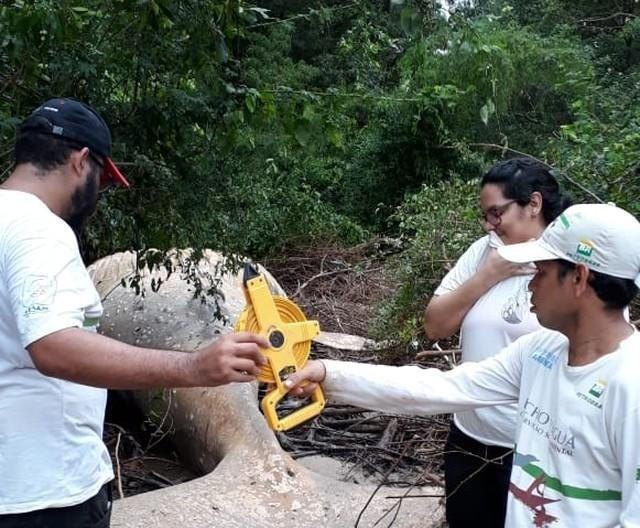 Encontraron una ballena muerta en el Amazonas
