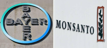 Tras fallo judicial contra producto Monsanto, acciones de Bayer caen casi 12% 