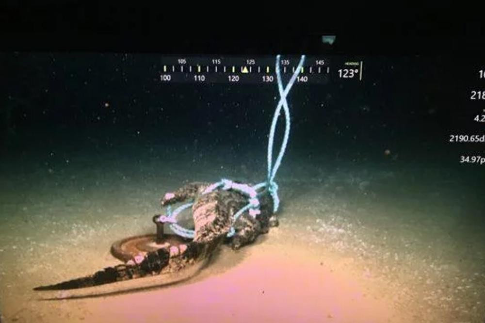 Criaturas marinas devoran a caimán a 200 metros de profundidad