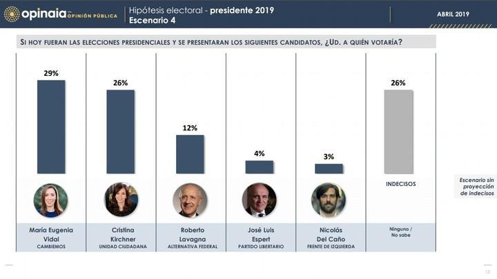 Encuesta electoral - Elecciones 2019 - Opinaia - 5