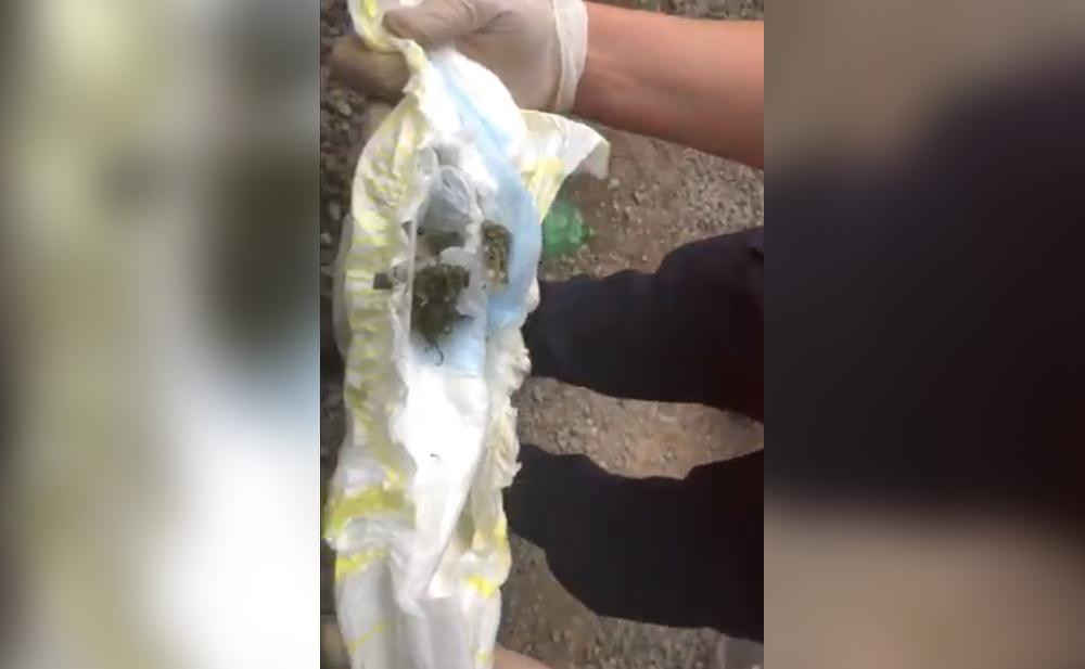 Detienen a mujer que entraba droga en pañal de bebé a cancha de Laferrere