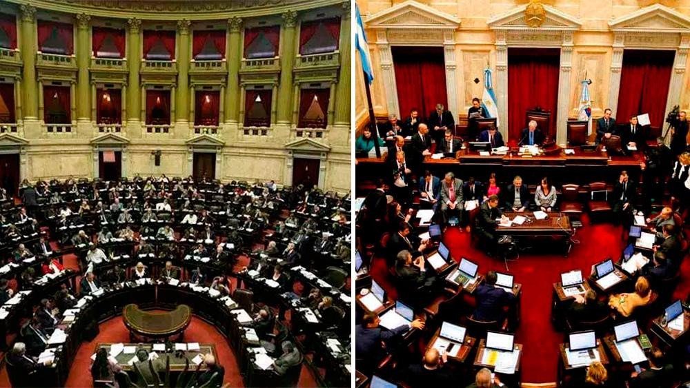 Cámara de Diputados y Cámara de Senadores, política, Congreso, elecciones 2019	