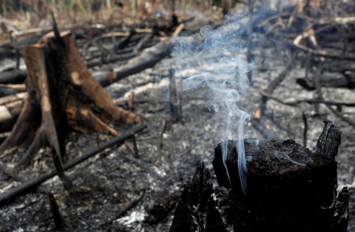 Incendio Amazonia, REUTERS