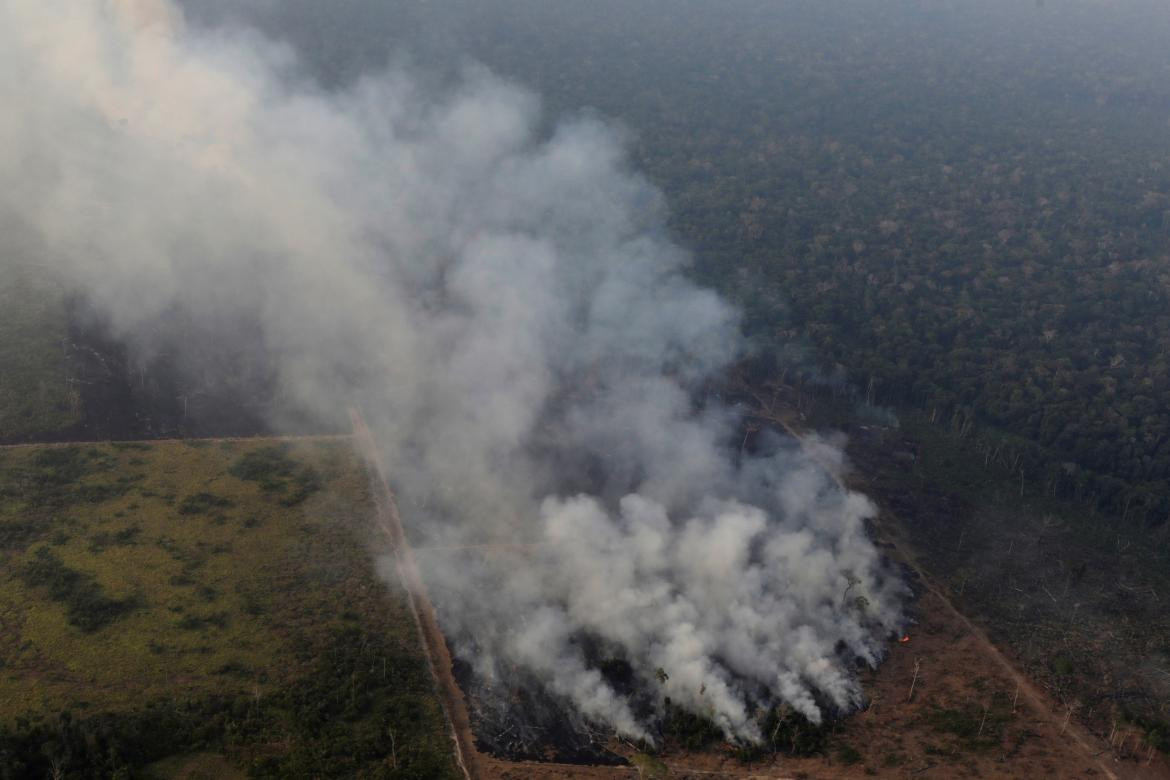 Incendio Amazonia, REUTERS