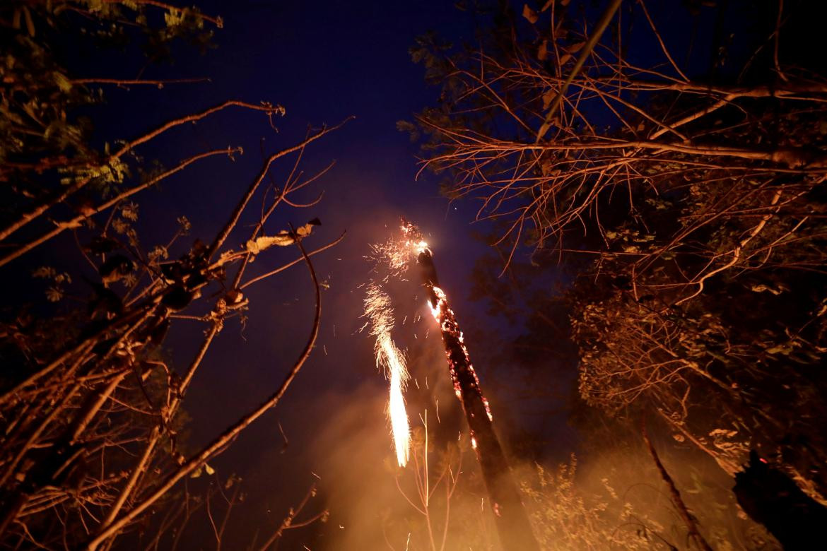 Incendios en la Amazonia, REUTERS