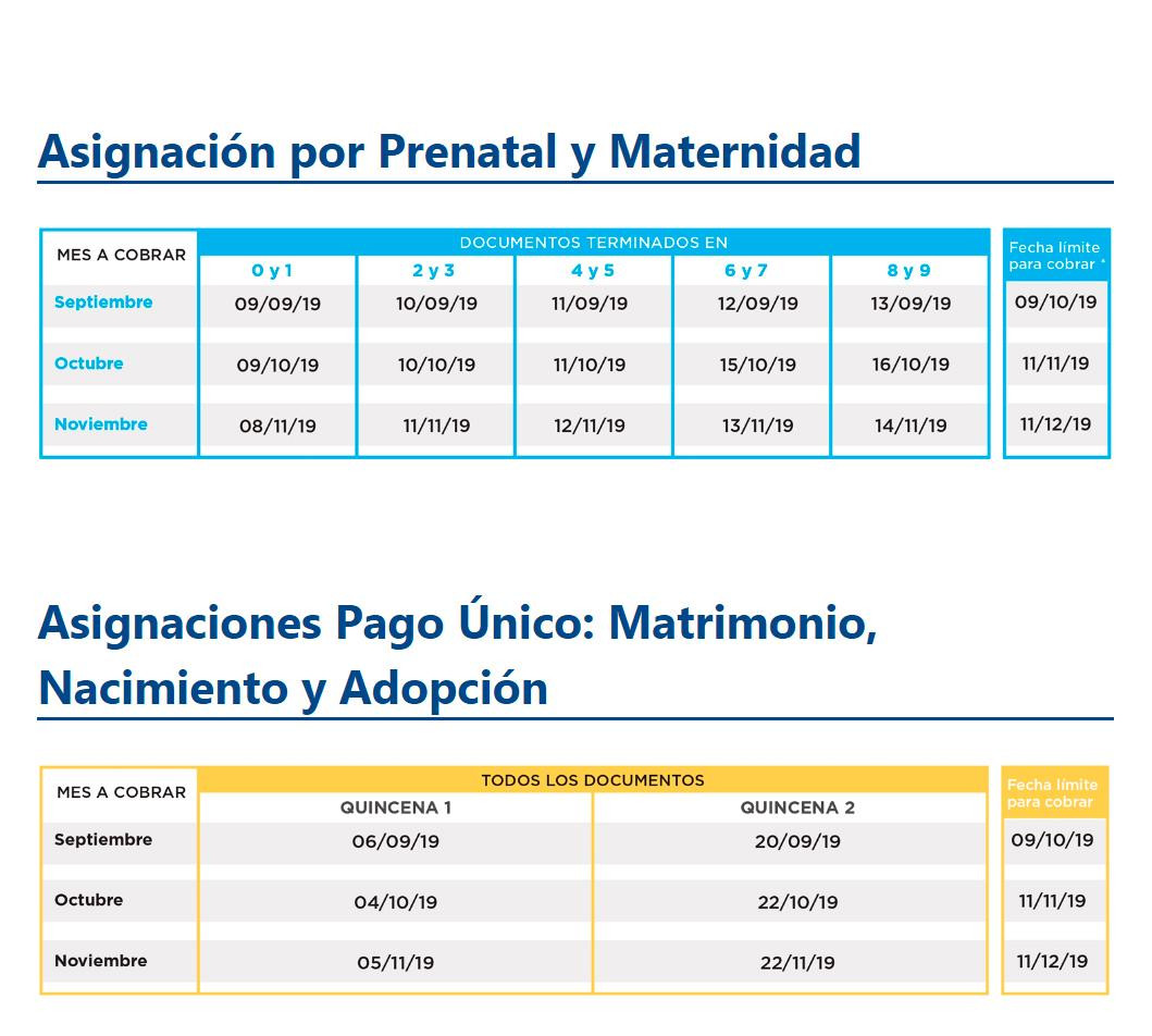 Anses, cronograma de pagos septiembre 2019, asignación por Prenatal y Maternidad	