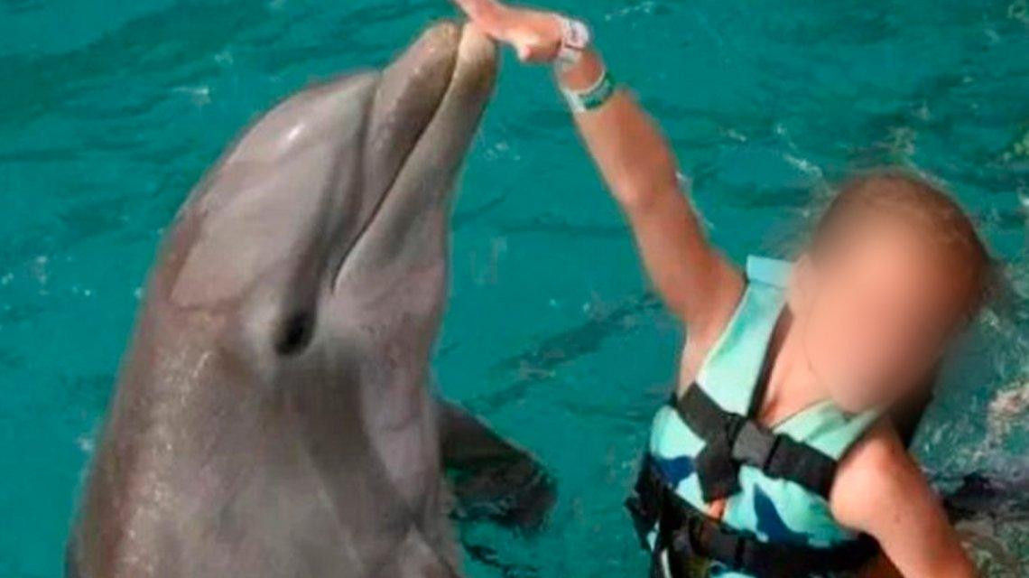 Ataque de delfín a nena en México