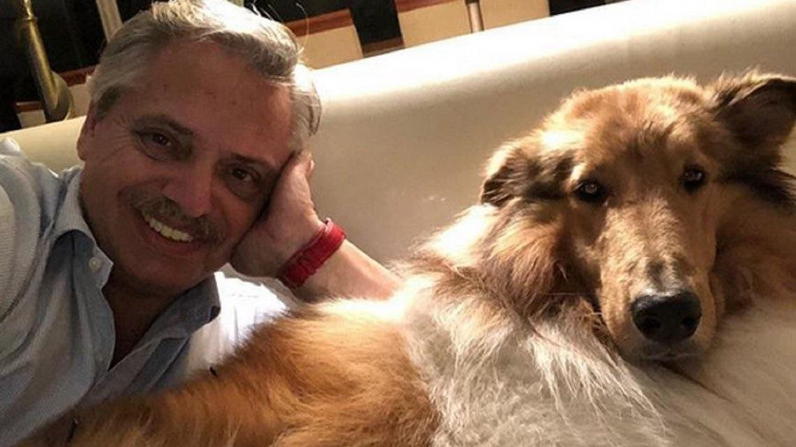 Alberto Fernández y su perro Dylan