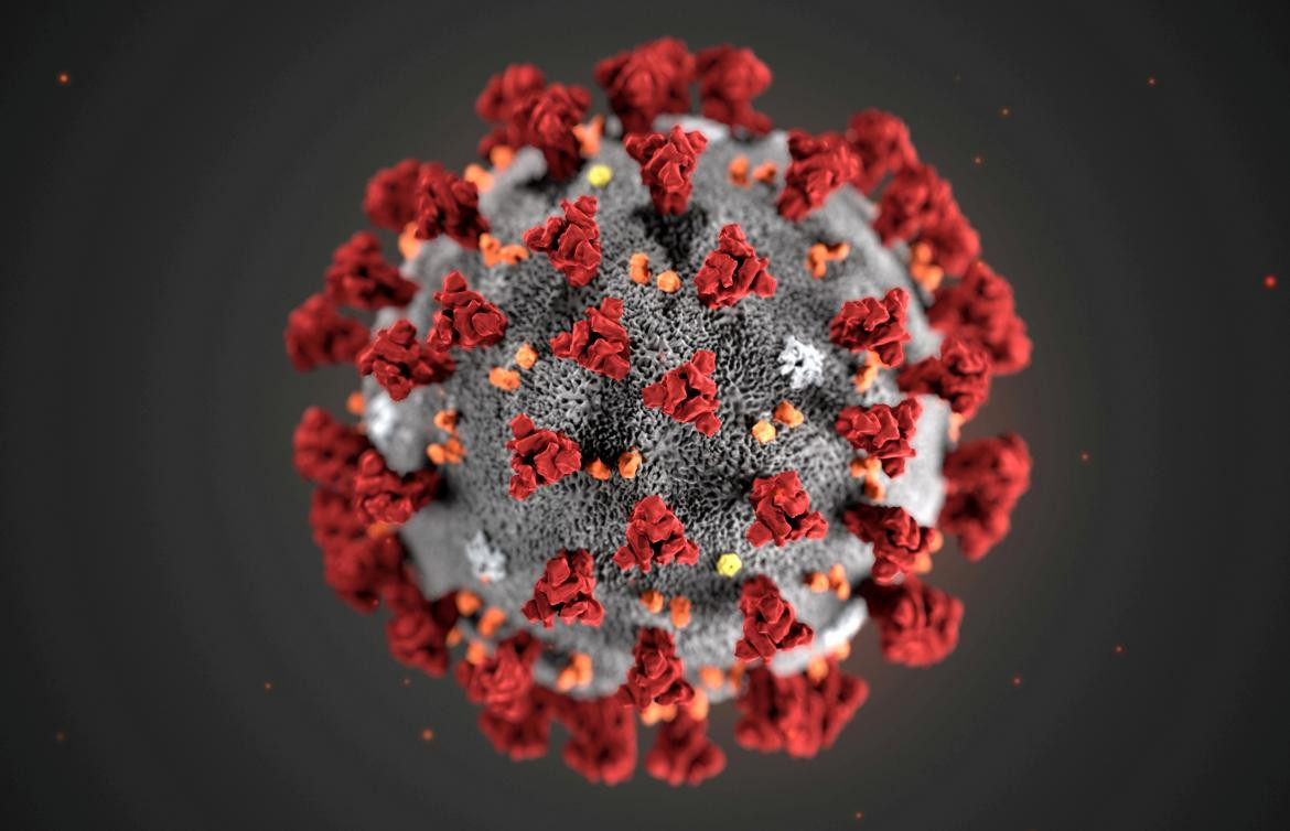 Ilustración, creada en los Centros para el Control y la Prevención de Enfermedades (CDC), muestra el nuevo coronavirus 2019, Reuters