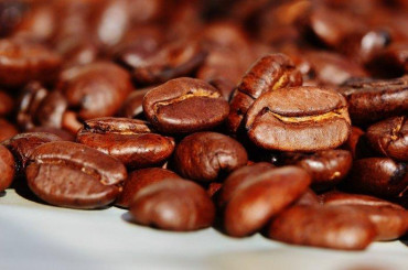 El exótico café geisha cuesta u$s 2000 el kilo y se encuentra en Panamá