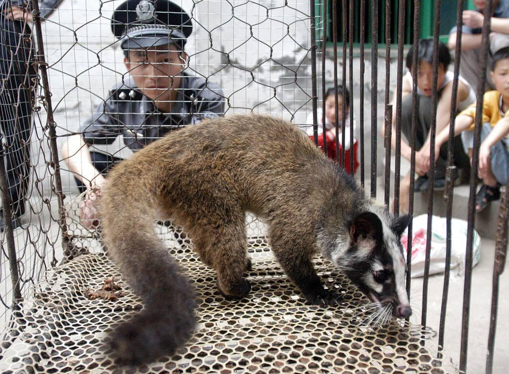 China, animales salvajes