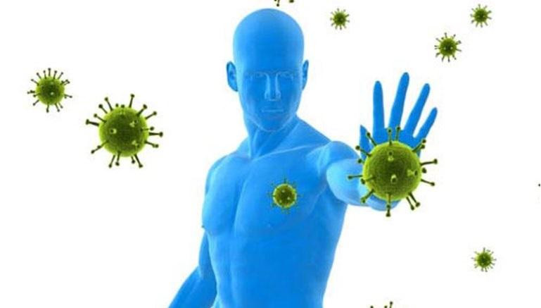 Sistema Inmunológio - Cornavirus