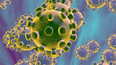 Coronavirus: cinco provincias cerraron sus fronteras para frenar avance de la pandemia