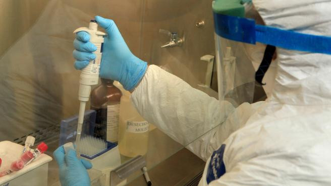 Trabajos científicos para la cura contra el coronavirus