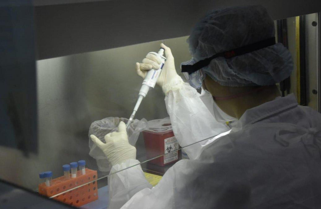 Coronavirus, investigaciones en laboratorios