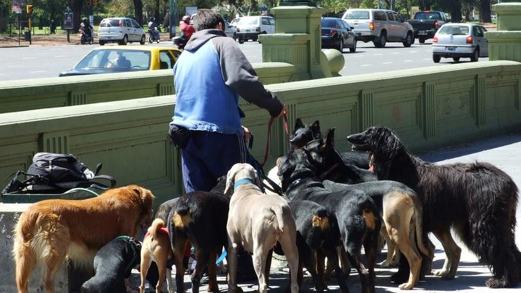 Coronavirus, Argentina, paseadores de perros