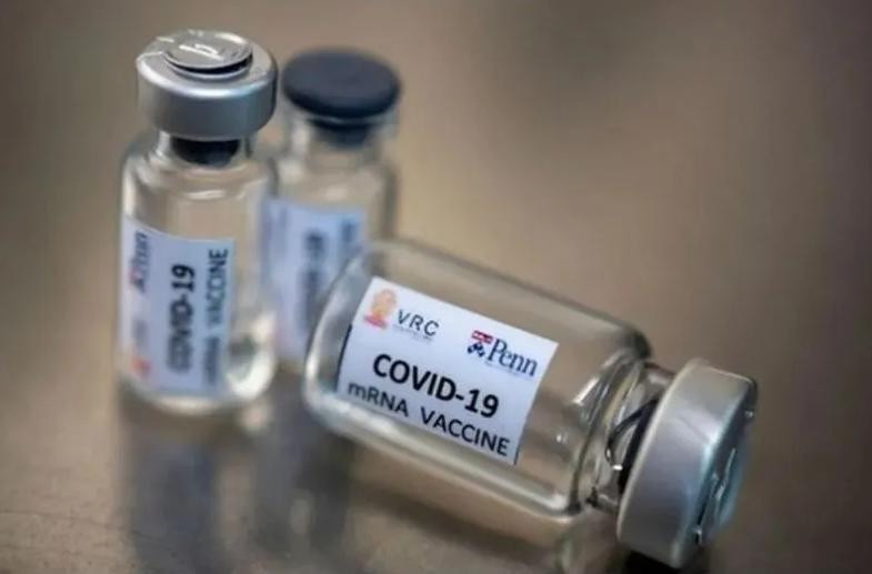 Vacuna experimental contra coronavirus