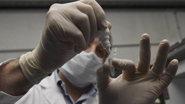 Investigadores argentinos buscan producir en laboratorio una proteína clave del coronavirus