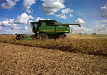 Récord: precio internacional de la soja vuelve a superar los US$600 por tonelada