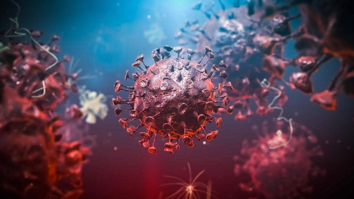 Coronavirus en el mundo, pandemia