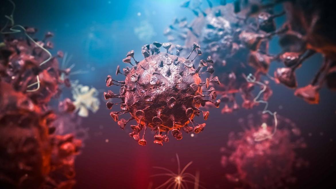 Coronavirus, Mundo, pandemia