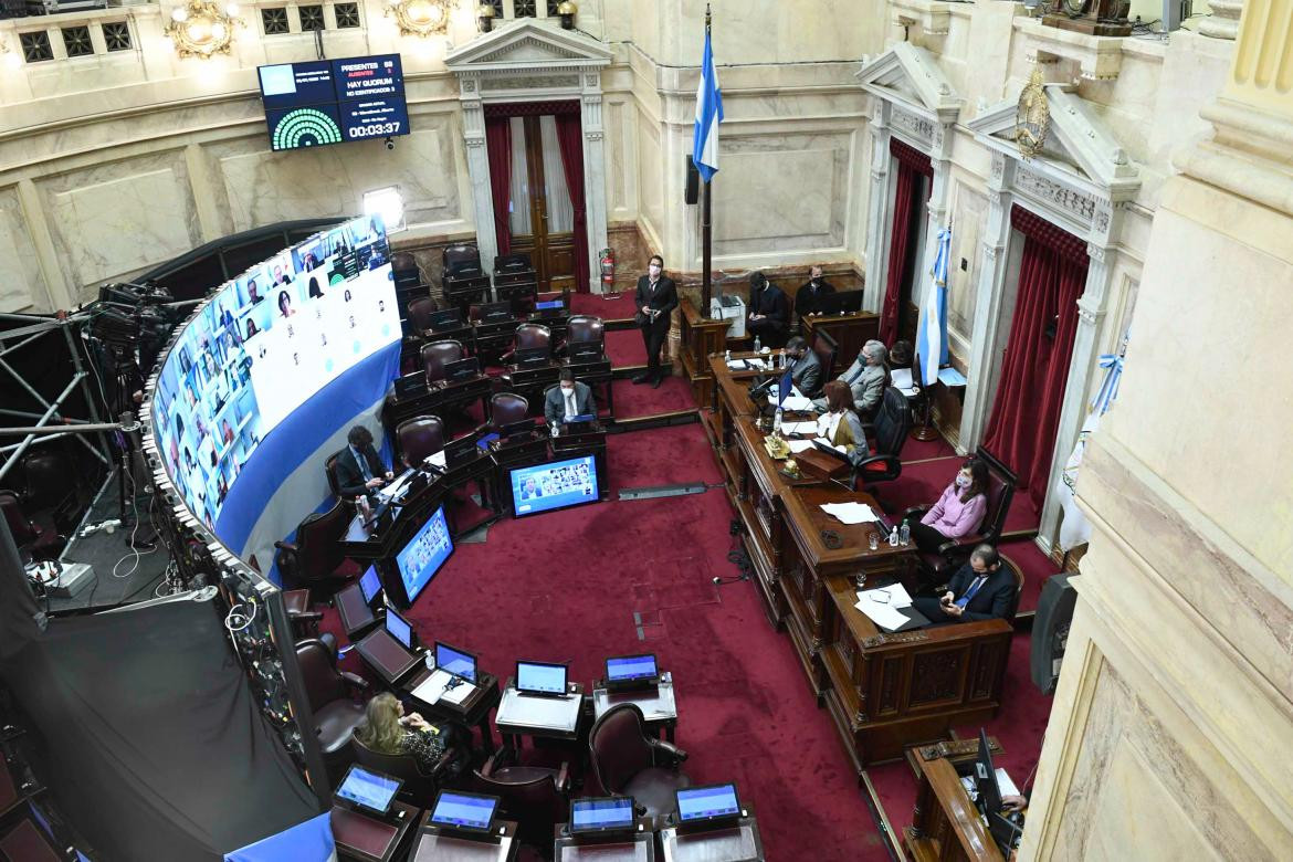 Senado, ley de teletrabajo, Cristina Fernández de Kirchner, NA